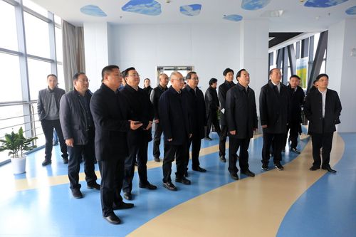 部分驻徐全国人大代表在市县领导陪同下视察我县.