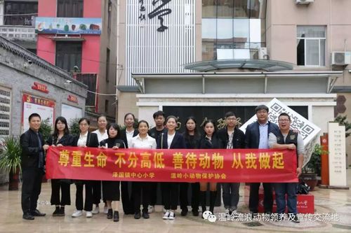 泽国小学孩子们的表现简直逆天了