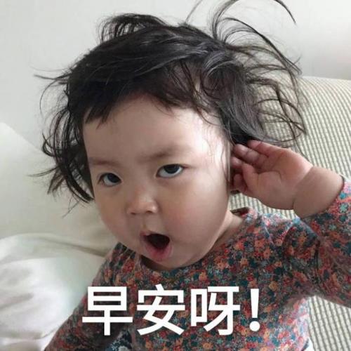 起床图片搞笑早安(刚起床头发乱的表情包)