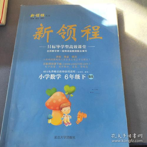 新领程小学数学六年级下册