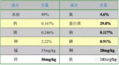 牧草的营养价值是什么?