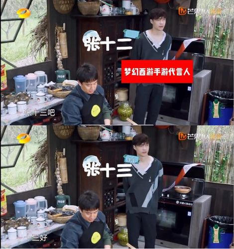 "张十三"成梦幻西游手游神秘暗号,创造这词的还是张艺兴