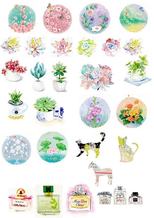 【未剪裁】多肉植物系列 手帐贴纸自制a4亚光 不干胶diy手账贴纸-淘宝