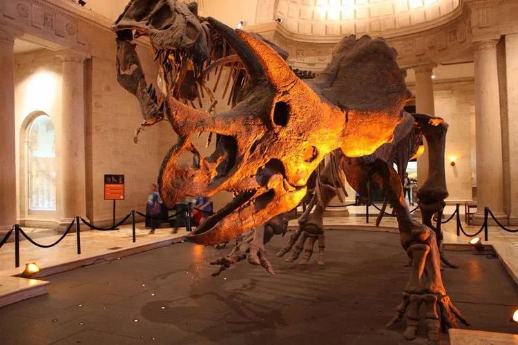 洛杉矶县自然历史博物馆展出的恐龙化石   图自:ray bouknight
