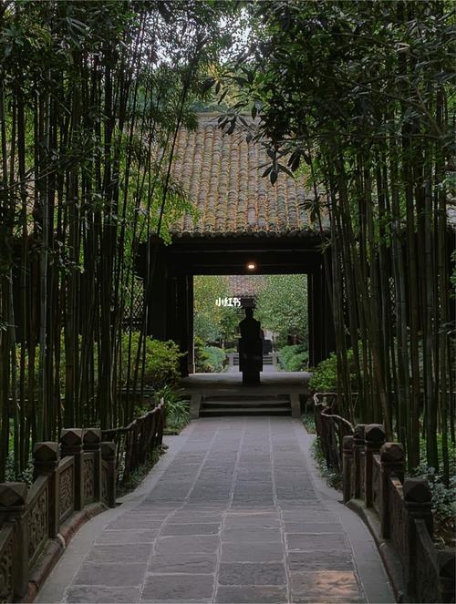 成都 杜甫草堂_景点_杜甫草堂攻略_探店_成都探店_出行_人文风光展示