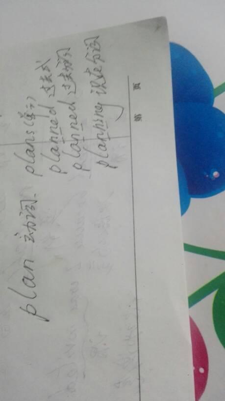 plan中文是什么意思