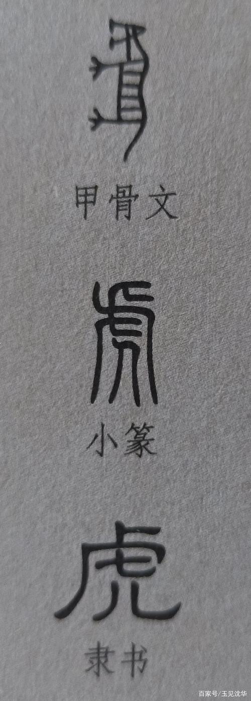 甲骨文是我们了解到最早的象形文字,每个字的来源均出自于生活中的