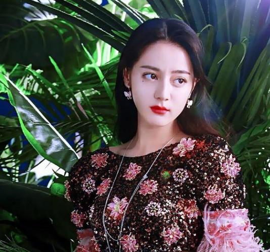 迪丽热巴个人资料简介身高年龄三围图片