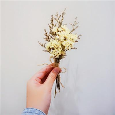 唯美小清新勿忘我花头像大全