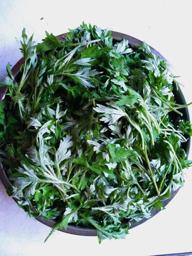 每年农历三月三日吃蒿子粑粑,是长江以南一带民间传统风俗.