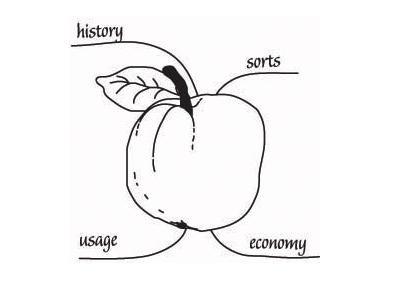 大脑选择记忆的方式是什么