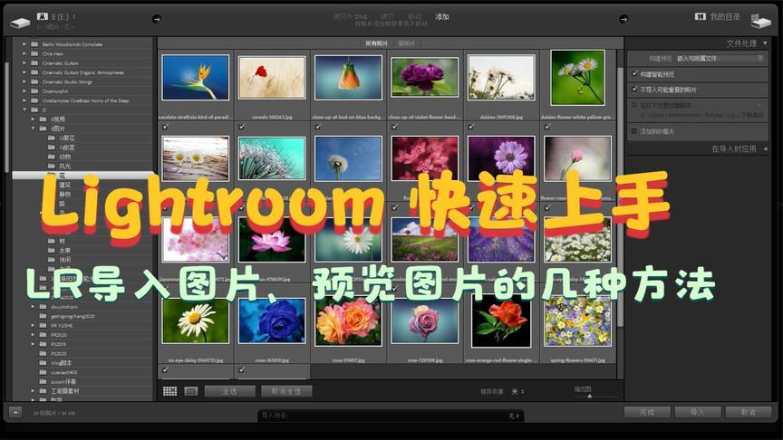 lightroom 快速上手,lr导入图片,预览图片的几种方法