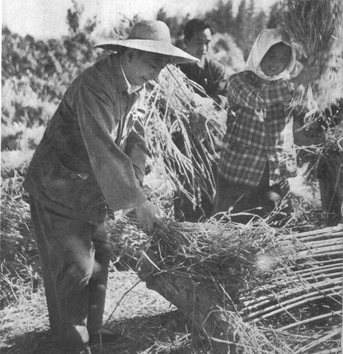 19世纪60年代上海人民公社人物社会万象黑白老照片图片设计素材