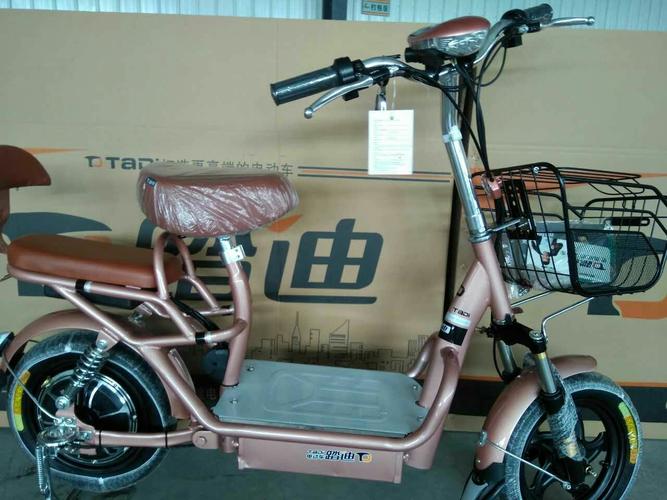 踏迪电动车,因您更精彩