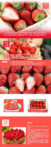 辽宁特产丹东99草莓 新鲜水果孕妇孩子爱吃 约2.8~3.2斤