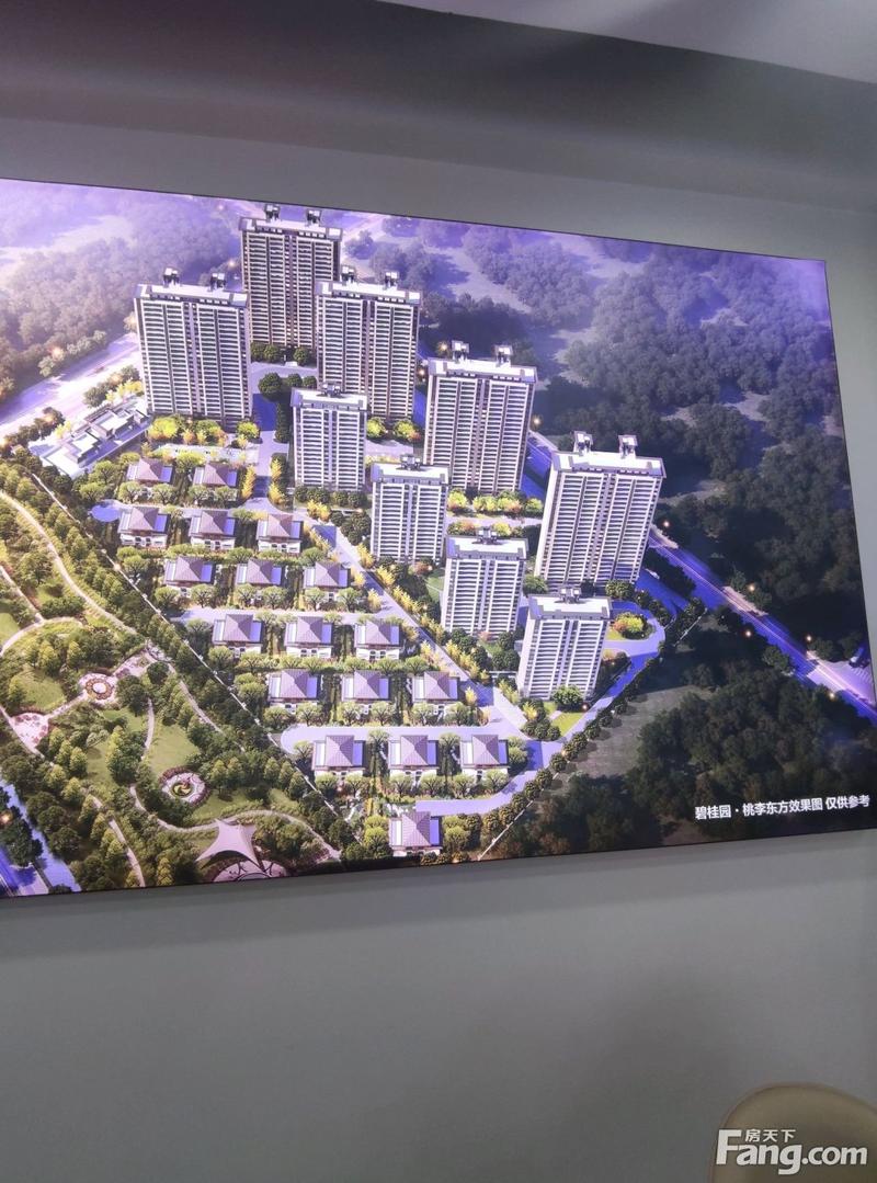 远安碧桂园桃李东方新拍现场谍照,实时了解楼盘新动态!