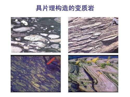 具片理构造的变质岩