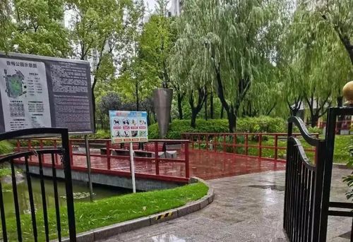 中心绿地,金枫公园,金葵绿地,上海野生动物园,泾东公园,泾南公园,高桥