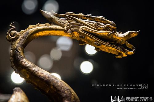 文物科普:唐代鎏金铁芯铜龙