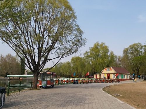 4.8北京朝阳公园·东2门游记