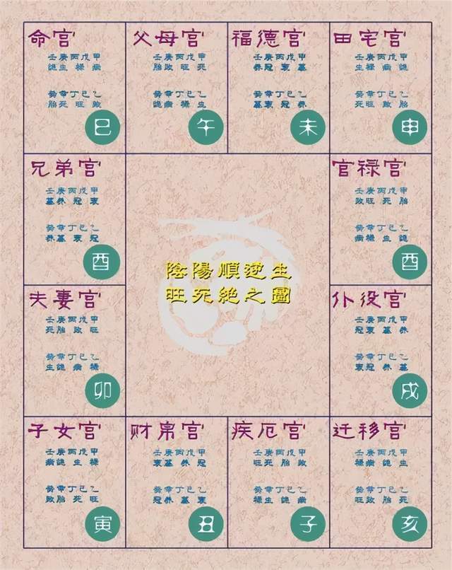 干货天干在地支的十二长生详解三