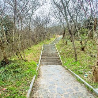 宝塔山森林公园