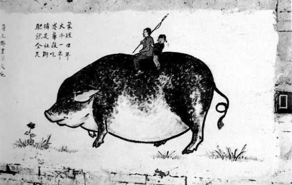 为了革命养猪!人民公社时代养猪宣传画