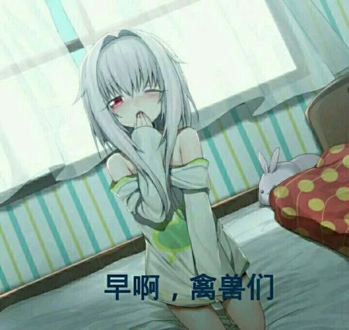 二次元表情包加美图第一期