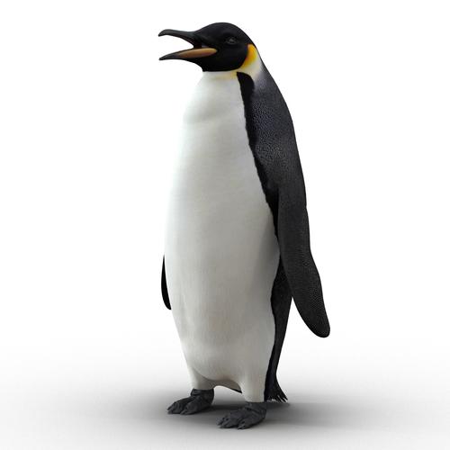 3d emperor penguin rigged