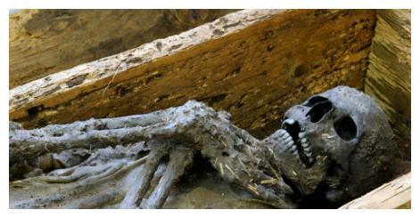 诸葛亮墓近1800年来为何没人盗墓?全靠诸葛亮临死前这