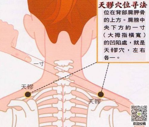 儿童科普 人体知识