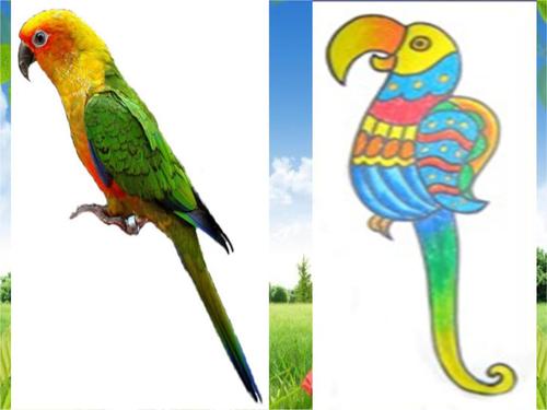 四年级下册美术课件-8鸟的纹样 |苏少版 .ppt