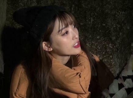 童趣大冒险 2019