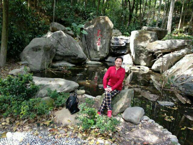 森林公园游金鸡山公园游