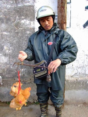 理坑:买鸡和卖鸡的人(行摄婺源之三十二)