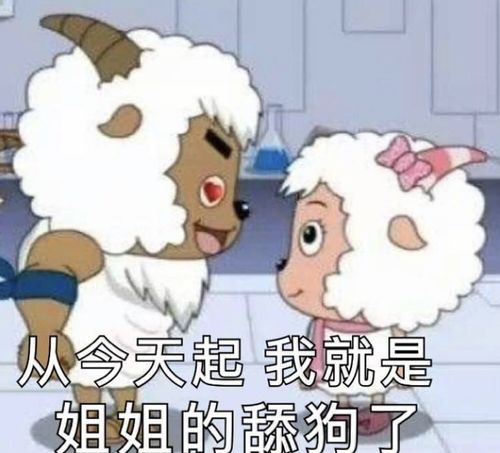 女生情头表情包 - 今日份情侣头像 - 表情图