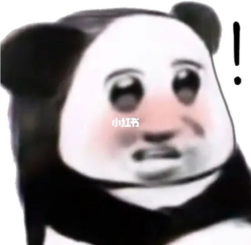 小熊猫大眼萌_大眼萌_小熊猫_表情包_大眼睛_熊猫头表情包_素材_表情