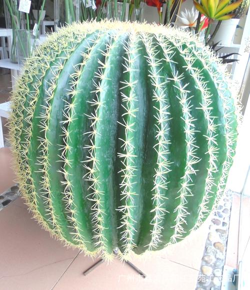 厂价玻璃钢巨型仙人球 85厘米直径仿真仙人球 室内户外大仙人