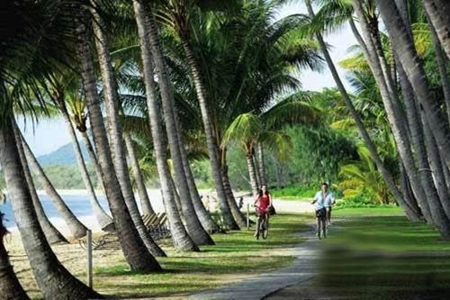 棕榈湾旅游