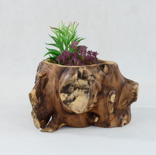 兰花石斛专用树根木桩造型枯木创意圆桶桶形花盆