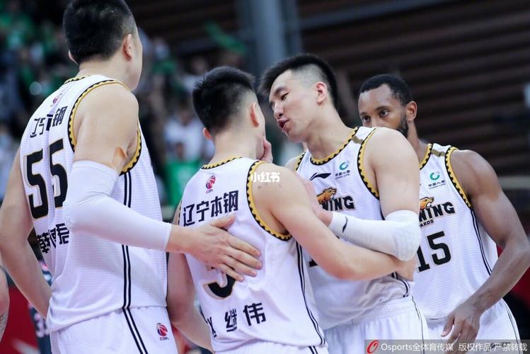 辽宁队!_cba_双子座_cba_体育运动_篮球赛事