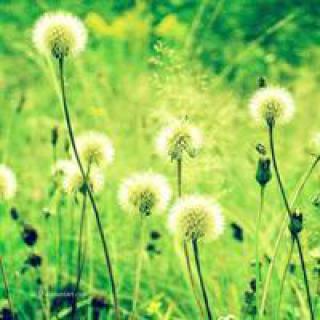 男生风景唯美小清新头像图片