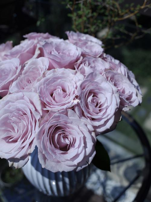 【繁花】国产玫瑰方德嘉荷柯赛特_点缀生活的鲜花_家居家装_家居装饰