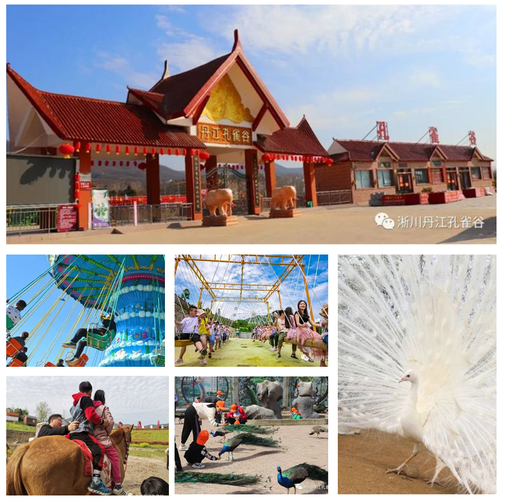 end淅川·丹江孔雀谷地址:河南南阳市淅川县上集镇周园村(距淅川县城