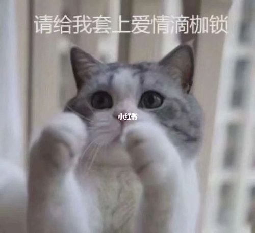 自觉点_素材_表情包