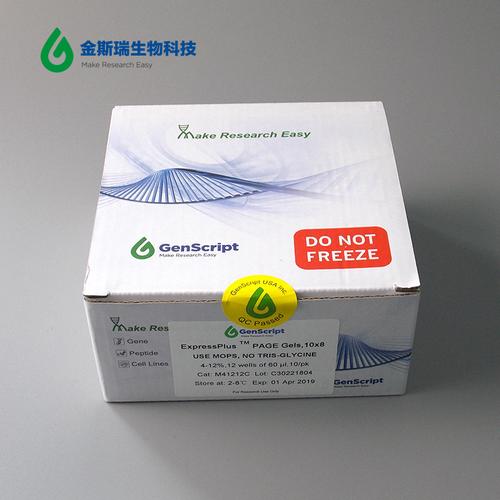 金斯瑞 genscript surepage蛋白预制胶 10块/盒 包邮