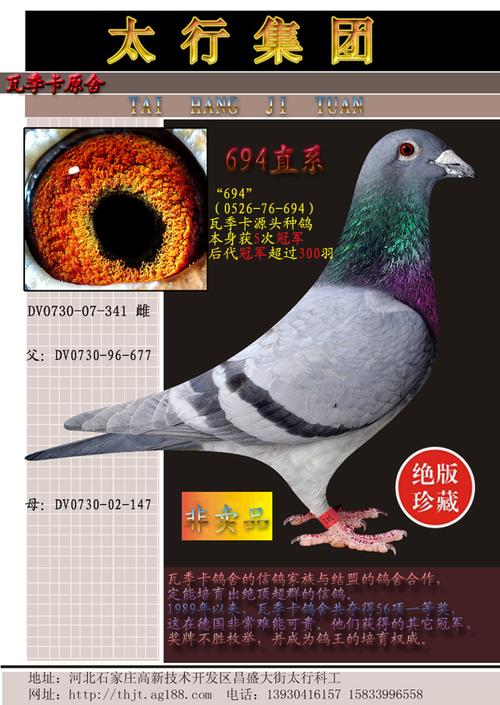 瓦季卡原舍