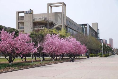 西安工业大学是一本还是二本录取情况怎么样