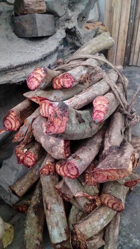 各位大侠这红红的血藤叫啥药名?