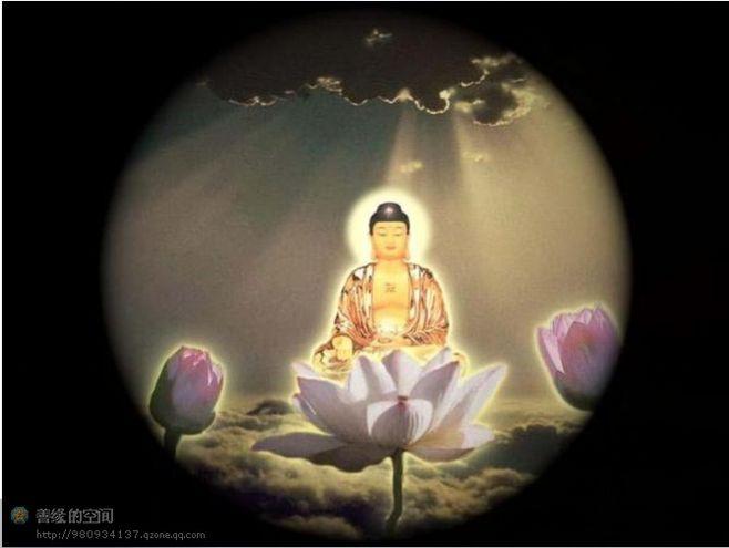 图片感恩顶礼合十!南无阿弥陀佛!